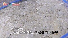 실처럼 가는 실치! 제철 실치 조업 현장 MBN 260520 방송