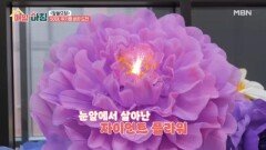 위기를 바꾼 도전, 자이언트 플라워의 세계 MBN 260615 방송