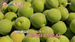 푸른 자연의 보석, 매실 200% 즐기기! MBN 260618 방송