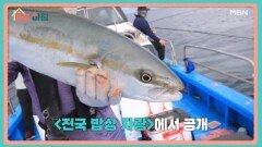 매일아침 [63회] MBN 250730 방송