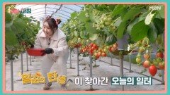매일아침 [165회] MBN 260210 방송