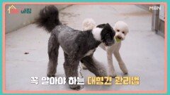 매일아침 [175회] MBN 260305 방송