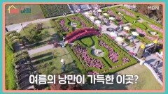 매일아침 [230회] MBN 260617 방송