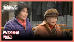 가화만사성 26회 ＜전신으로 퍼지는 만병의 씨앗, 만성염증을 막아라＞ 미리보기 MBN 251223 방송