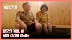 가화만사성 35회 ＜탈모의 계절, 봄! 모발 건강의 열쇠는?＞ 미리보기 MBN 260303 방송