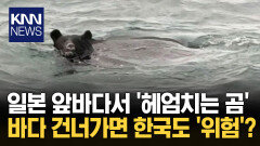 일본 앞바다서 ′헤엄치는 곰′ 지자체 대처에 갈리는 반응?/ KNN