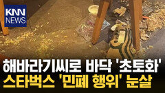 해바라기씨 껍질로 뒤덮인 바닥 국내·일본 이어 중국 본토서도? / KNN