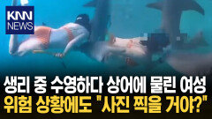 생리 도중 다이빙한 중국 여성 피 냄새 맡고 상어 다가와 ′경악′ / KNN