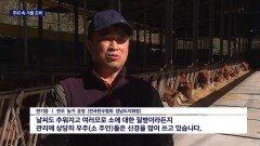 영하권 추위에 농가들 겨울채비 ′분주′