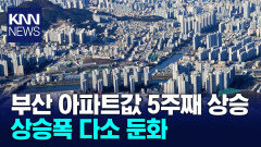 부산 아파트값 5주째 상승, 상승폭은 다소 둔화