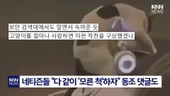 이게 진짜 가능하다고?＂ 보안 뚫은 ′털 헬멧′의 정체 / KNN