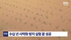 물과 압력으로 나무심는 신기술 ′죽음의 바다′ 사막에 생명 심는다 / KNN