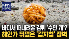 끝없이 펼쳐진 ′감자튀김 바다′ 해안가 덮친 기괴한 풍경 ′소름′ / KNN