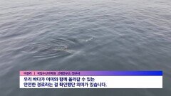 ′새끼·어미 밍크고래 유영′ 세계 최초 포착