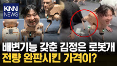 김정은·일론머스크 얼굴 ′로봇개′ 1억 넘는 가격에도 완판, 누가? / KNN
