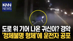 풀숲에서 기어 나온 괴생물체? 깜짝 놀라 ′급정거′해보니 경악 / KNN