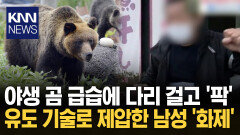 이빨 드러내며 침입한 곰 ′깜짝′ 육수 끓이다 유도 기술로 제압? / KNN