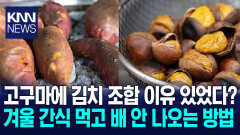 겨울 간식 잘못 먹으면 탈난다 고구마 먹는 올바른 방법 ′화제′ / KNN