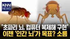 컴퓨터로 구현된 ′디지털 초파리′ 뇌 복제했더니 생긴 일…소름 / KNN
