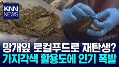 [렛츠고 라이콘]망개잎이 새로운 로컬푸드로