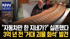 해안가서 발견된 3억 년 전 ′괴물′? 2.7m ′거대 지네′ 화석 발견됐다 / KNN