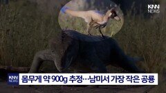 공룡, 원래는 작았다고? ′깜짝′ 닭만 한 ′초소형 공룡′ 발견/ KNN