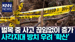 잇따르는 벌목 사고....안전 지도 점검 사각지대?/ KNN