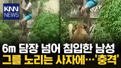 제 스스로 사자 우리 들어간 남성 결국 암사자에 ′참변′…무슨 일 / KNN