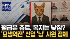 ＂사원증·계약서까지 진짜＂ ′묘생역전′한 길고양이 근황 / KNN