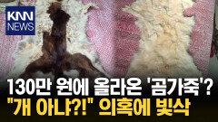 130만 원짜리 곰 가죽의 비밀… ＂개 가죽 아니야?＂ 수상한 당근 거래 / KNN