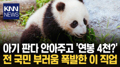 아기 판다 돌보며 두둑한 연봉까지 ＂이게 진짜 꿈의 직장＂ 대체 어디? / KNN