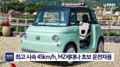 트럼프 한마디에 업계 ′발칵′? ＂귀여운 차 미국서도 만들자!＂ / KNN