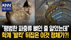 ＂평범한 파충류 뼈인 줄 알았는데＂ 학계 ′발칵′ 뒤집은 이것 정체가?! / KNN