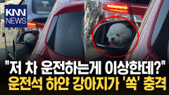 ＂운전 이상하게 한다 했더니＂ 핸들 앞에 웬 강아지? 경악 / KNN