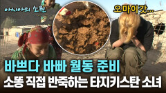 바쁘다 바빠 월동 준비 소똥 직접 반죽하는 타지키스탄 소녀 [아시아의 소원]│2012.07.26