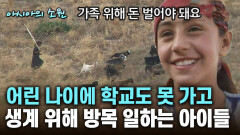 어린 나이에 학교도 못 가고 생계 위해 방목 일하는 아이들 [아시아의 소원]│2012.07.26