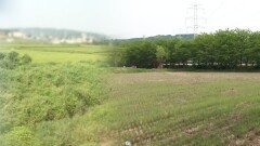 수도권에 현미경…사상 첫 농지 전수조사