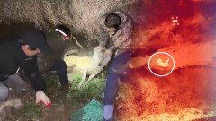 늑구, 열흘 만에 무사 귀환…시민들 ＂보러 갈게＂