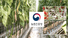 중동발 비료 위기, ′순환식 수경재배기술′로 극복
