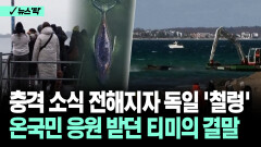[뉴스′픽′] 충격 소식 전해지자 독일 ′철렁′ 온국민 응원 받던 티미의 결말