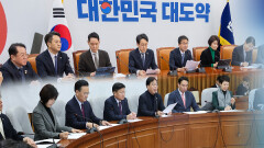 관세 압박이 국회 탓?…다른 생각 ′특별법′