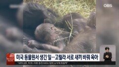 그리스 크레타섬 상징…8m 거대 ′리라′ 등장