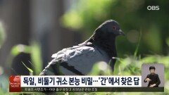 미국, 페달만 밟으면 완성…′스무디 자전거′ 눈길