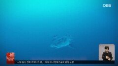 반은 맑고 반은 흙탕물…중국 ′훠궈 폭포′ 등장