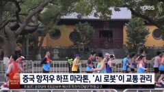 루마니아, ‘고양이 세계의 오스카상’ 개최