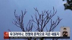 영국, 40년 만에 밝혀진 남극 공룡 화석의 정체