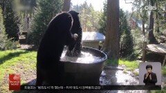 미국 NFL 홈구장, 월드컵 위해 축구장으로 변신