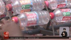 사람 손에 자란 순록 ＂저 강아지 아니에요?＂