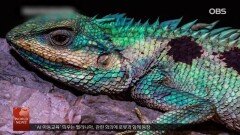 미국 필라델피아 공항, 보안 검색대보다 긴 줄?