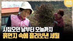 [마냥 이쁜 우리맘 77-3] 시집오던 날부터 오늘까지 흙먼지 속에 흘려보낸 세월